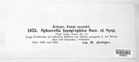 Mycosphaerella topographica image